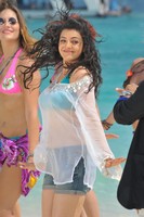 Kajal Agarwal Spicy Photos
